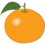 Simple sweet orange
