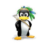 Indian penguin vector image
