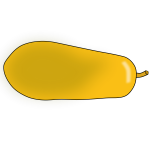 Papaya vector image
