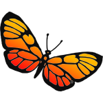Orange butterfly-1628922115