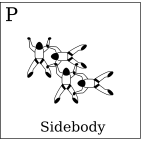 Figure P - Sidebody, Vol relatif Ã  4, Formation Skydiving 4-Way