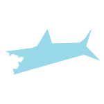 Shark refixed