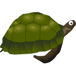 Green cartoon turtle