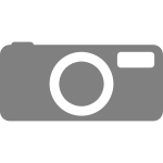 Gray camera