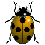 Ladybug symbol