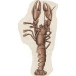 Lobster-1584106737