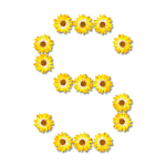 S made of flowers