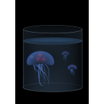 Jellyfish in water tank
