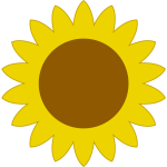 Sunflower-1574413656