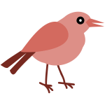 Bird 13