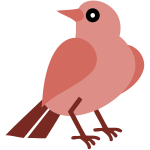 Bird 14