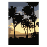 Palm trees-1626126261