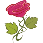 Pink rose-1627594843