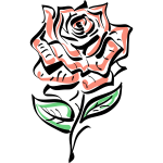 Rose 29