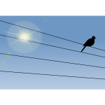 Bird on a Wire - Day