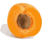 Abricot (coupe)