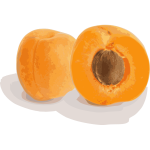 Abricots (coupe et entier)