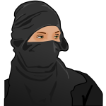 Lady ninja vector image