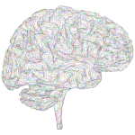 Brain 3D Profile Wireframe Prismatic