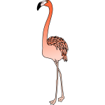 Flamingo 4 (colour)