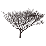 Tree Silhouette (#7)