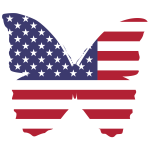 American butterfly-1632070633