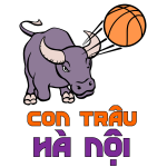 Bull basketball logo
