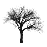 Intricate Tree Silhouette By Deedster