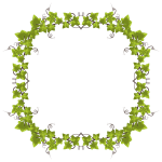 Ivy Leaves Frame 2
