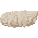 swiss meringue - swiss pastry