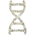 DNA Helix Dog Breeds