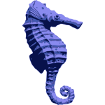 Blue Seahorse