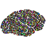 Brain Silhouette Circles Type II Polyprismatic With BG
