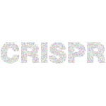 CRISPR II Prismatic