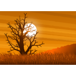 sunset landscape 14012019