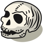 Skull (#1)