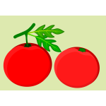 tomatoes 30012019
