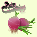 red onions 01022019