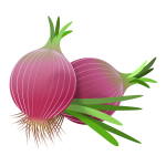 red onions 010220192