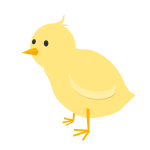 Chick Solo