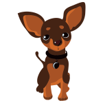 Chihuahua By BADRE44