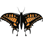 Butterfly insect silhouette