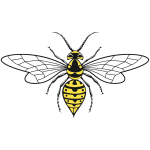 Wasp-1589810615