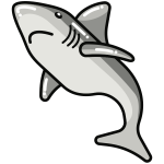 Shark (#8)