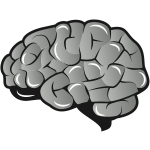 Brain-1589810756
