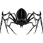 Spider insect (#2)