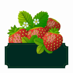 strawberries 04042019