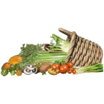 Food Basket Vector Icon Free SVG