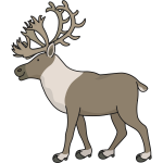 Reindeer (#3)