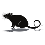 Rat silhouette clip art